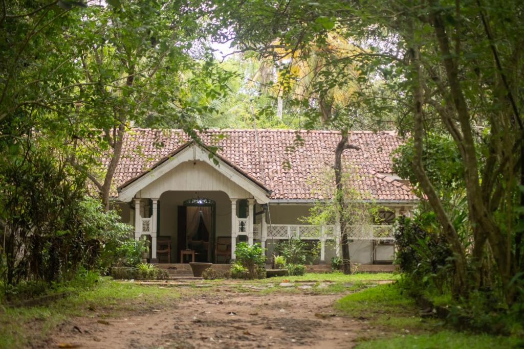 Zahrada ubytování Cadjan Sacred Anuradhapura