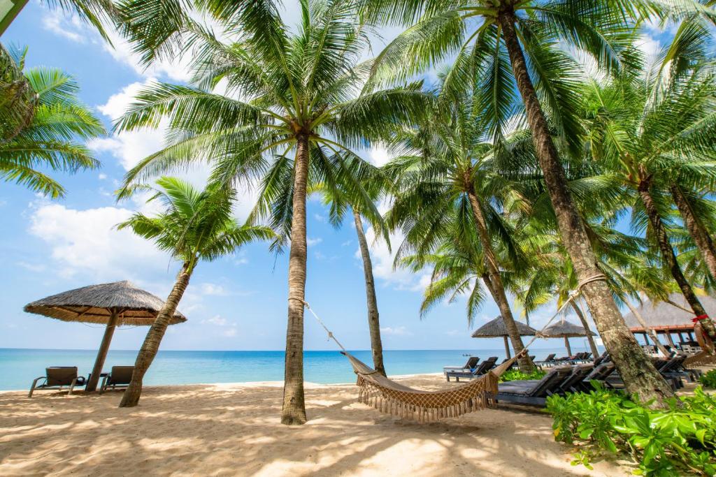 a hammock on a beach with palm trees and the ocean at Famiana Resort & Spa - Breakfast is served as Brunch 6AM30 to 1PM in Phu Quoc