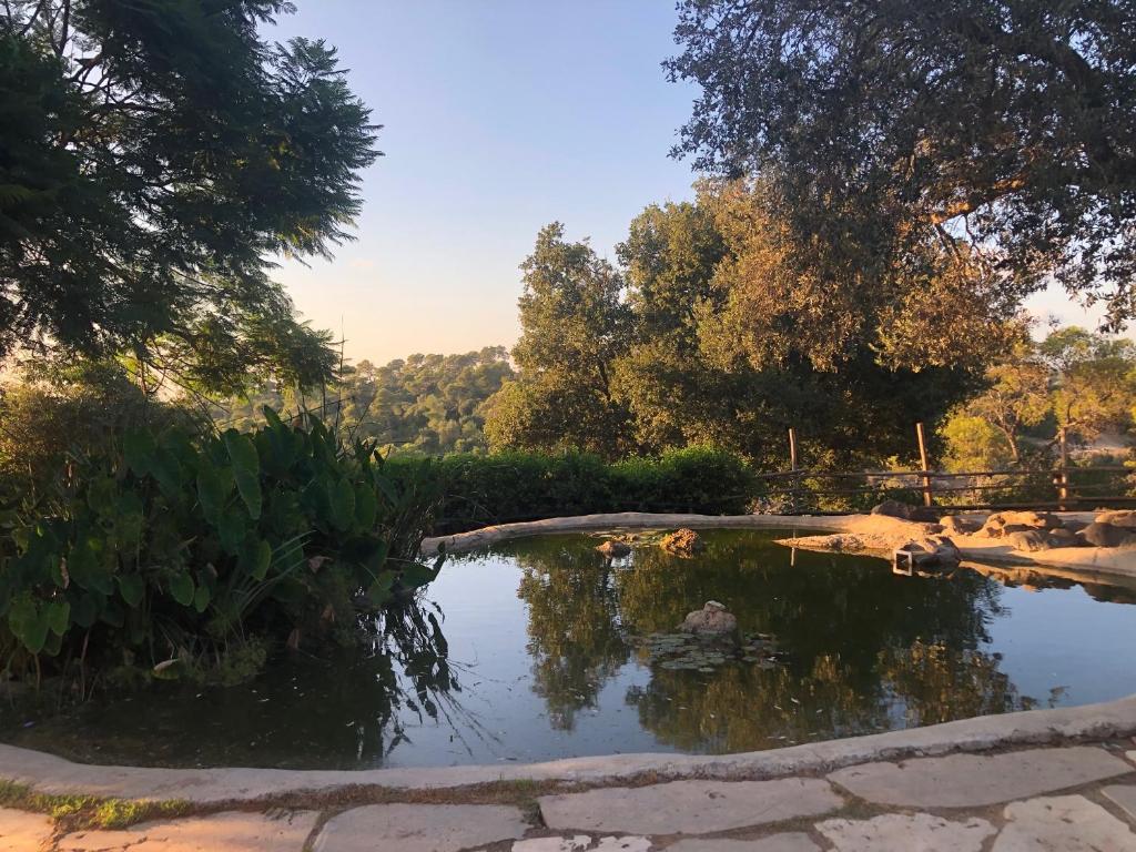 a pond in the middle of a garden at Beit Oren Hotel in Beit Oren