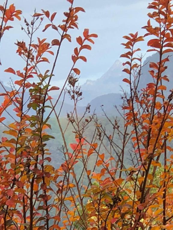 Paesaggio naturale nelle vicinanze della casa vacanze