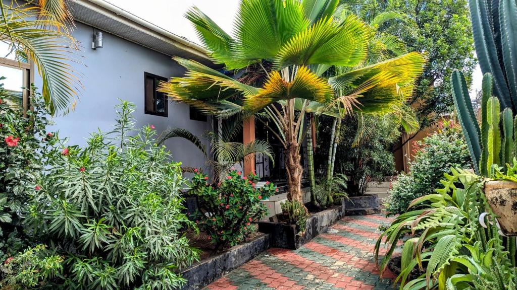 a garden with palm trees and plants in front of a house at 3 Bedroom Appartment with Beautiful view of Kilimanjaro Mountain in Moshi