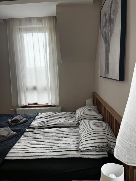 a bed in a bedroom with a window at Šumska staza Divčibare apartmani in Divčibare