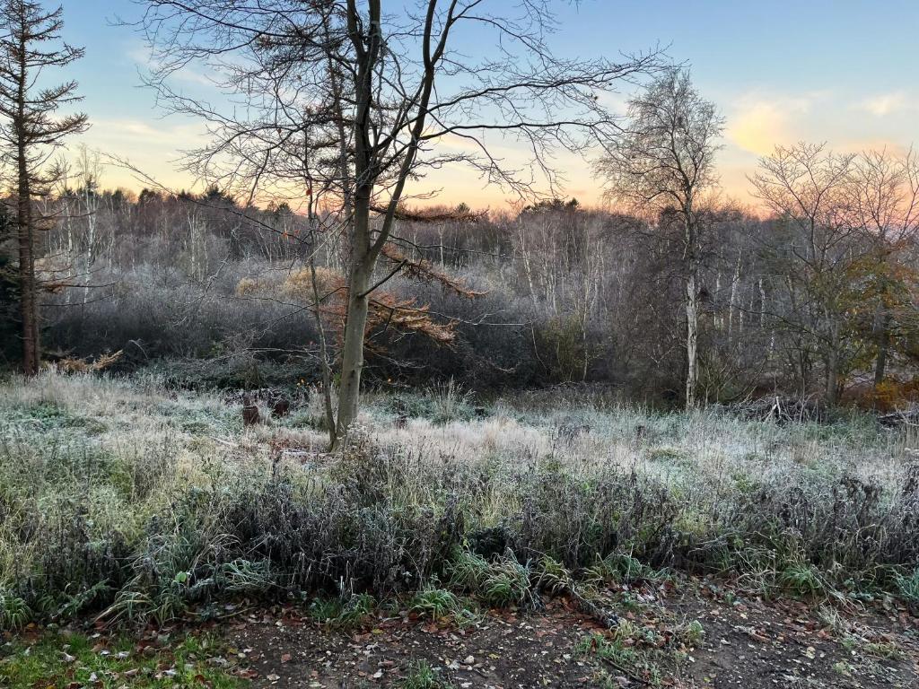 Příroda nedaleko prázdninového domu