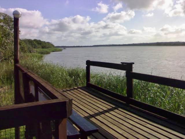 Природа в окрестностях апартаментов/квартиры