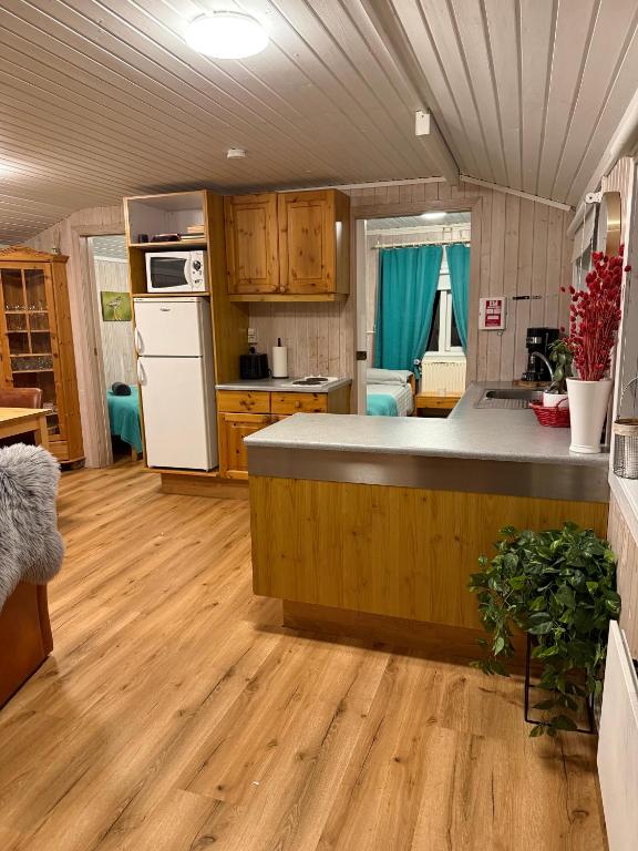 Kuchyň nebo kuchyňský kout v ubytování Laxás Cottage