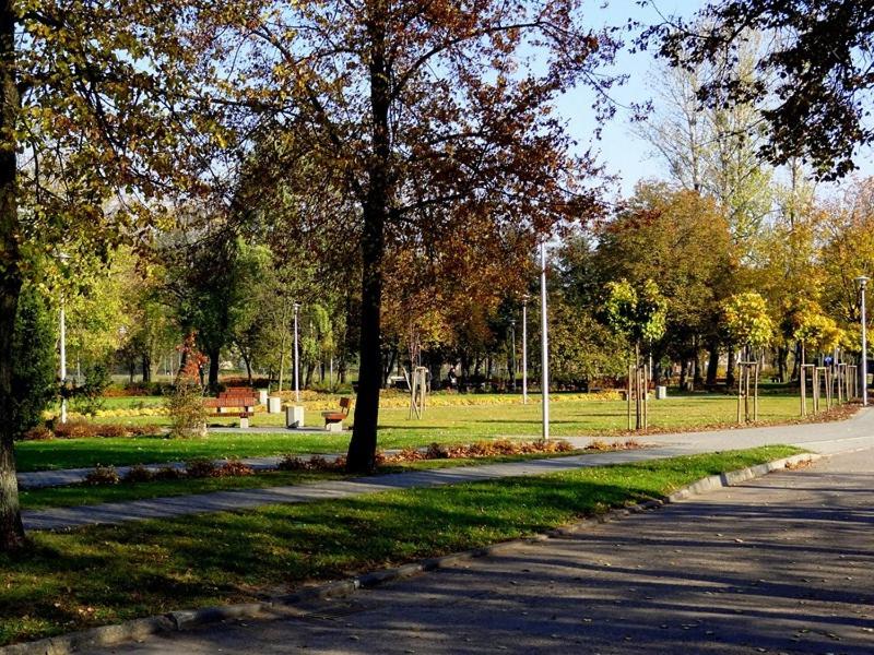 Zahrada ubytování Hotel Krystyna