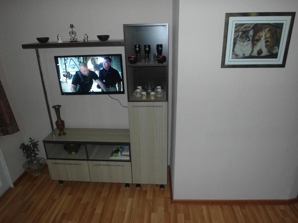 TV a/nebo společenská místnost v ubytování Villa Lazika