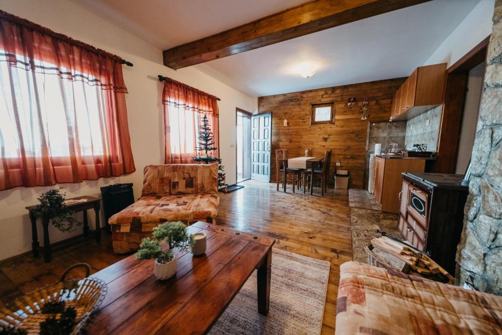 Kuchyň nebo kuchyňský kout v ubytování Planinska kuća Tasić, Tara