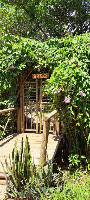 Vrt pred nastanitvijo Glamping Algodões