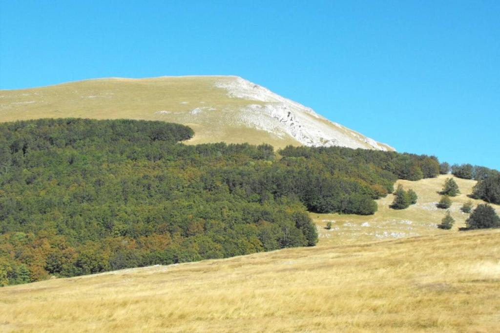 Příroda nedaleko kempu
