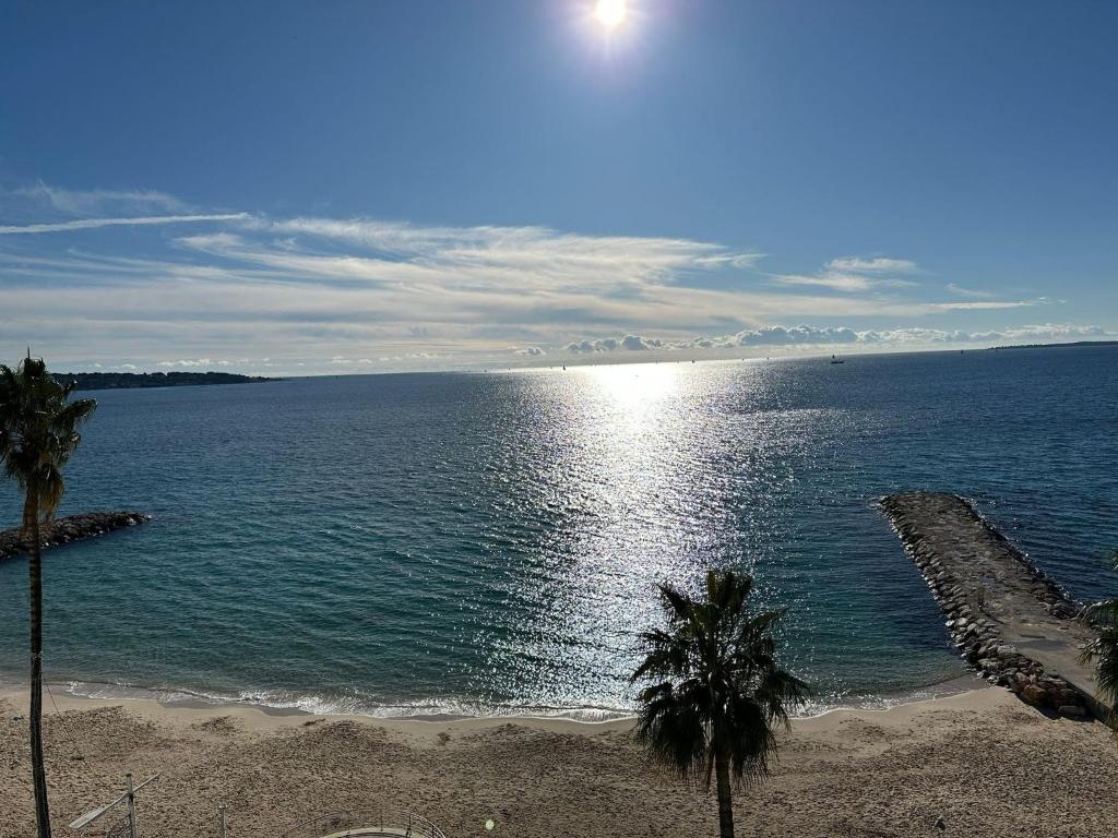 - une vue sur une grande étendue d'eau avec des palmiers dans l'établissement LIDO Juan les pins - Front de mer, à Antibes