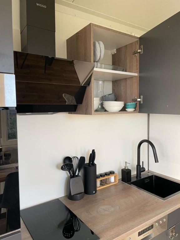 Kuchyň nebo kuchyňský kout v ubytování Luxe Tiny House incl Jacuzzi en Strandhuisje in zomerseizoen