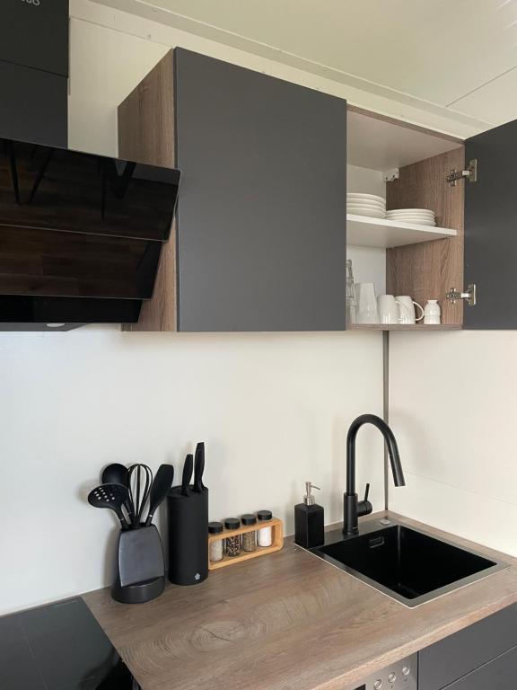 Kuchyň nebo kuchyňský kout v ubytování Luxe Tiny House incl Jacuzzi en Strandhuisje in zomerseizoen