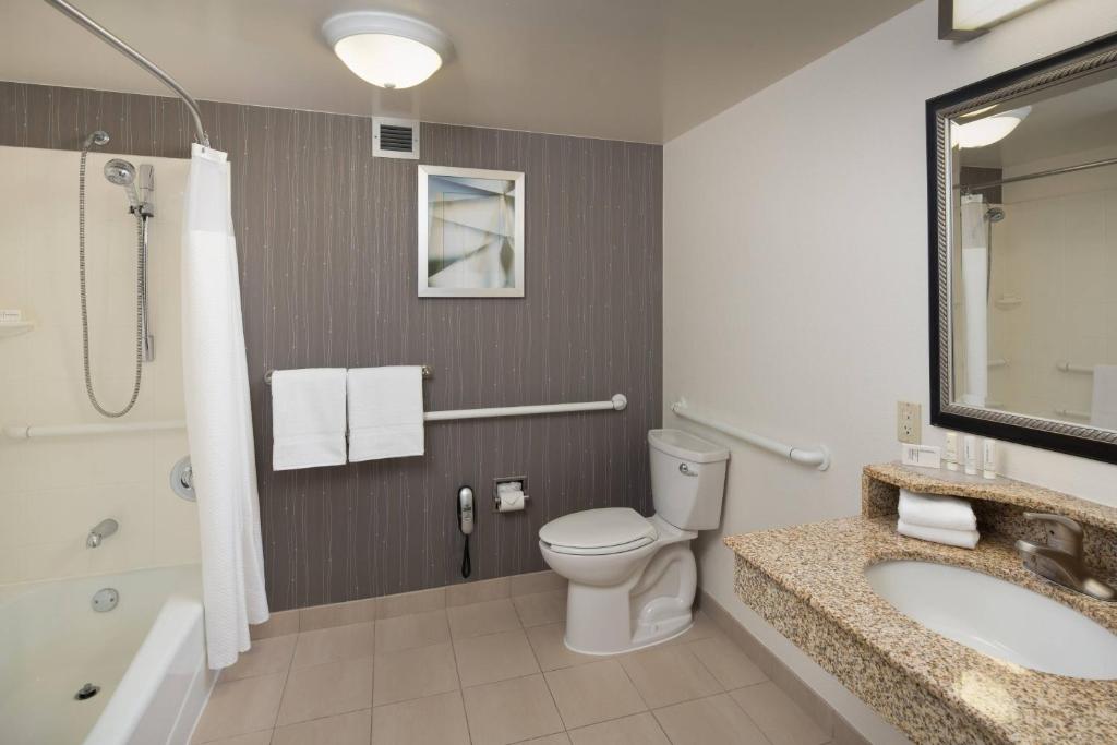 Courtyard Chicago Wood Dale / Itasca - One-Bedroom King Suite With Sofa Bed