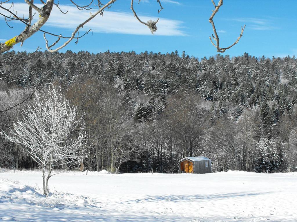 Vercors Intense - Chalet De 1 Dormitorio