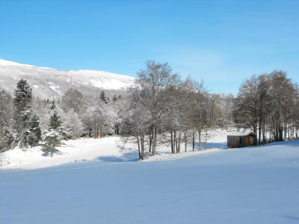 Vercors Intense - Bungalow Con Vistas Al Jardín