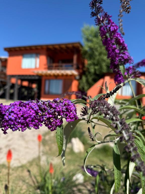 Zahrada ubytování Cabaña El Churqui