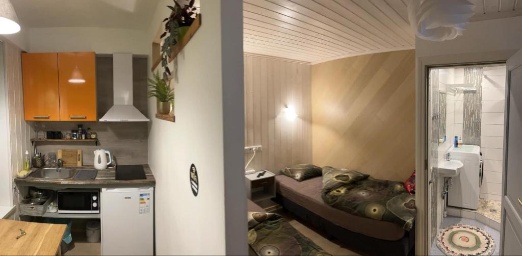 Kuchyň nebo kuchyňský kout v ubytování Renthouse Guest Apartment ADEELE