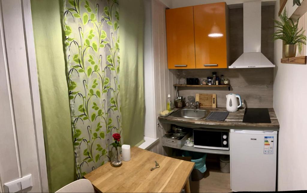 Kuchyň nebo kuchyňský kout v ubytování Renthouse Guest Apartment ADEELE