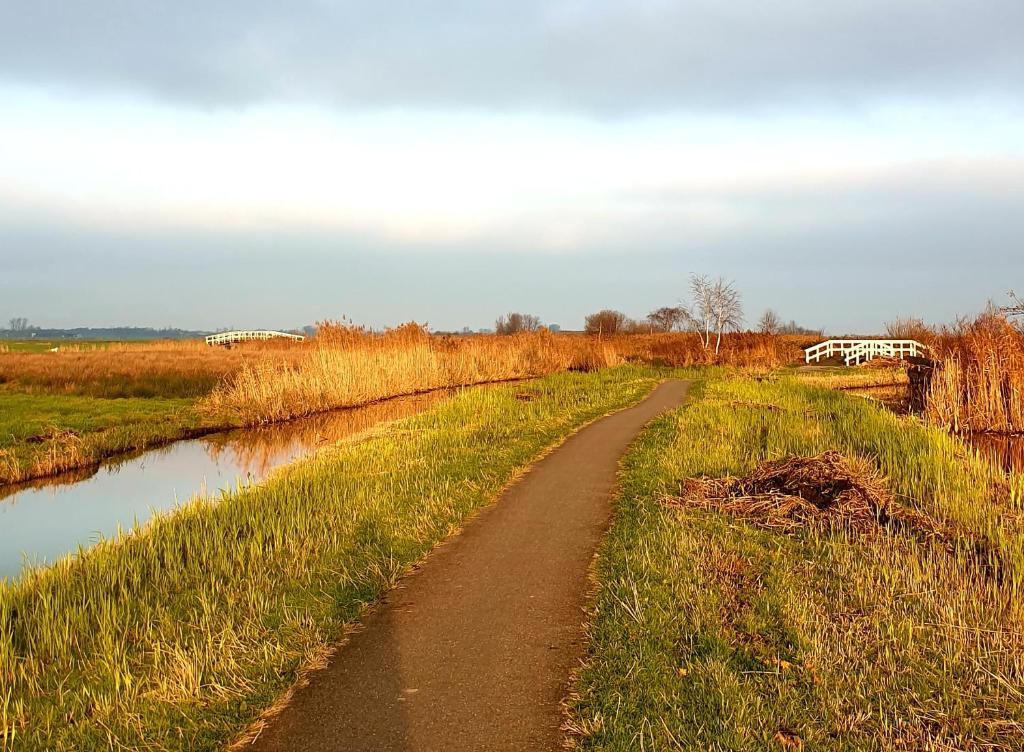 a dirt road in a field next to a river at City Farmer Farmyard Stays, Sleep Easy, Stay Rural, Explore Amsterdam in Amsterdam