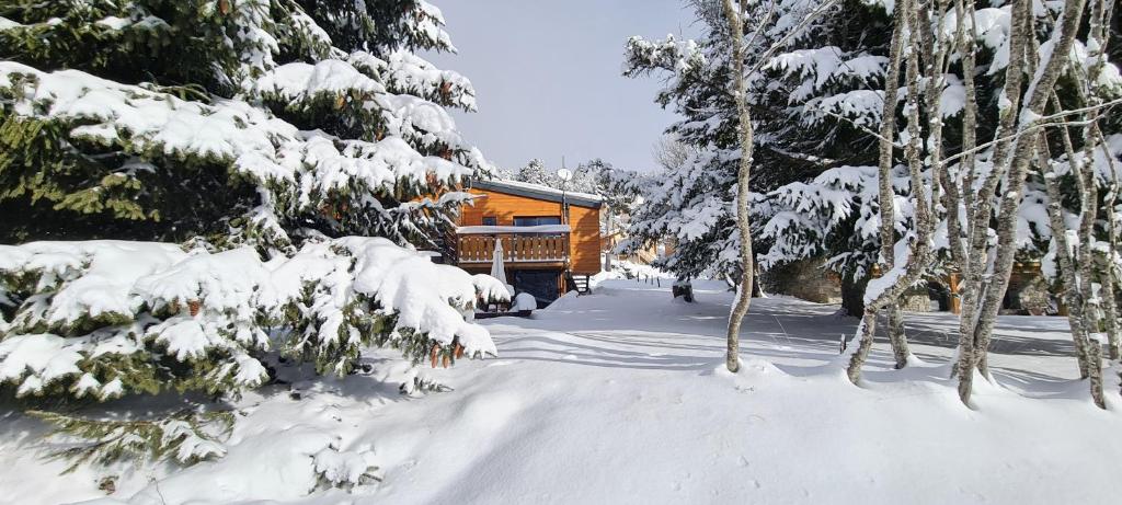 une cabane dans les bois avec des arbres enneigés dans l'établissement Chalet La Cora classé 4 étoiles pied des pistes Font-Romeu P2000, box WIFI, à Bolquère-Pyrénées 2000