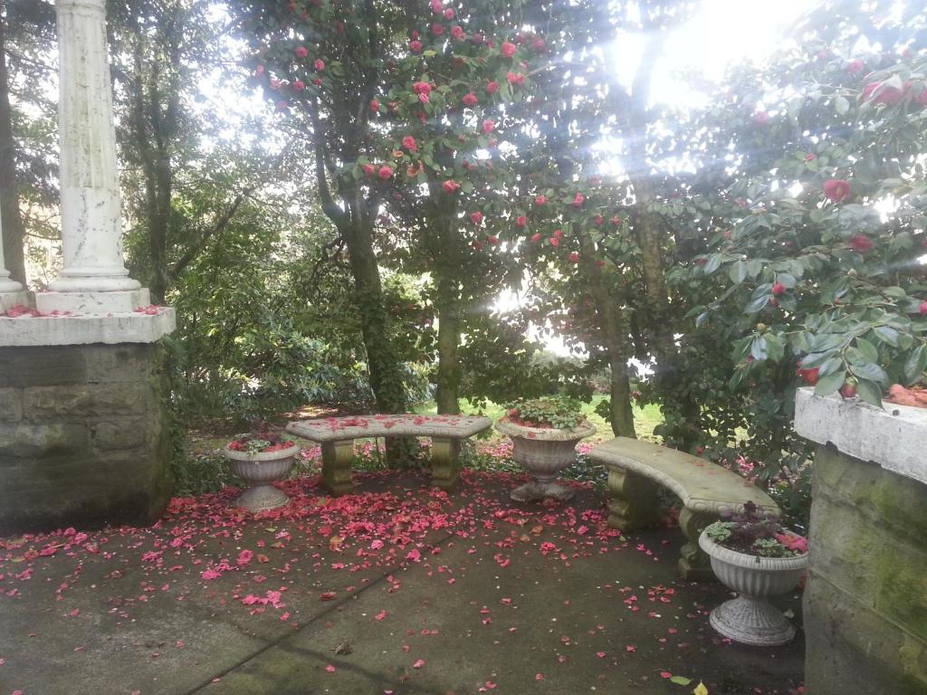 a garden with two benches and a tree with roses at Evermore Guesthouse in Portland