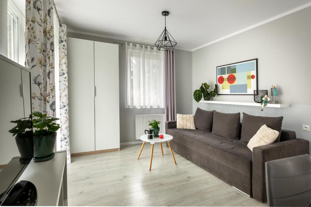 Apartamenty Wczasowa - z widokiem na góry, parkingiem, narciarnią - 9