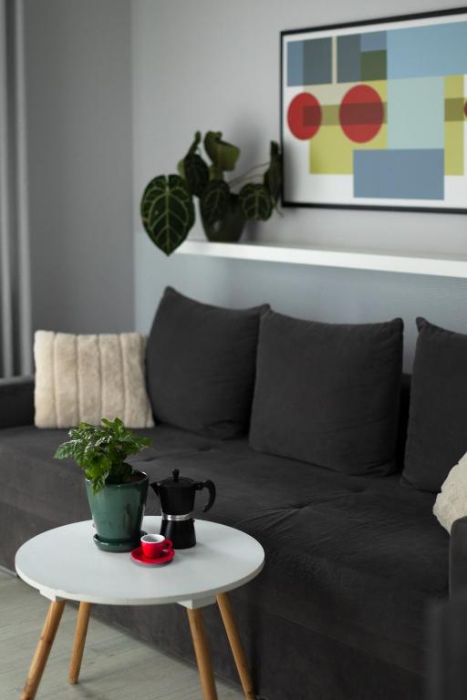 Apartamenty Wczasowa - z widokiem na góry, parkingiem, narciarnią - 13