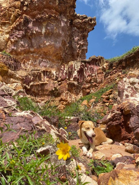 Gallery image of Aloha in Icapuí