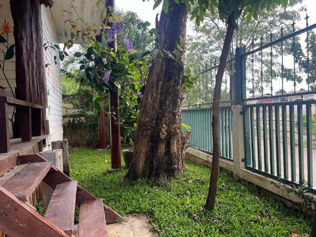 a tree in the grass next to a fence at Once in Lampang Guesthouse in Lampang
