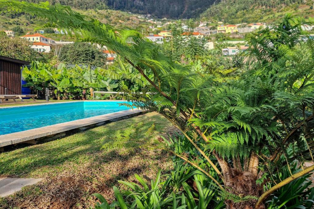 Villa Santa Madalena, a Home in Madeira - Villa Con Piscina Privada