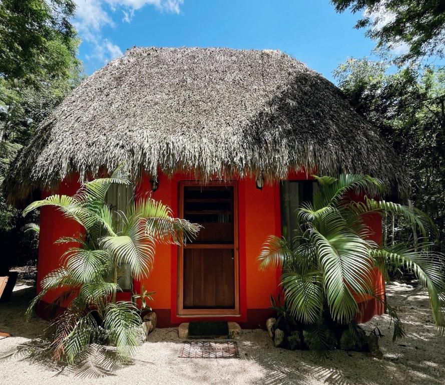 Zahrada ubytování Hotel Boutique Cenote Secreto Maya