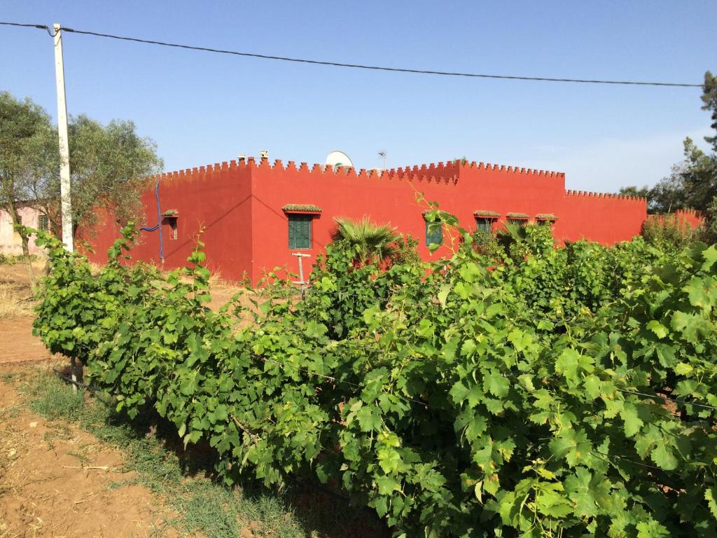 a red building with a bunch of plants in front of it at premium farmhouse with pool Rabat in Rabat