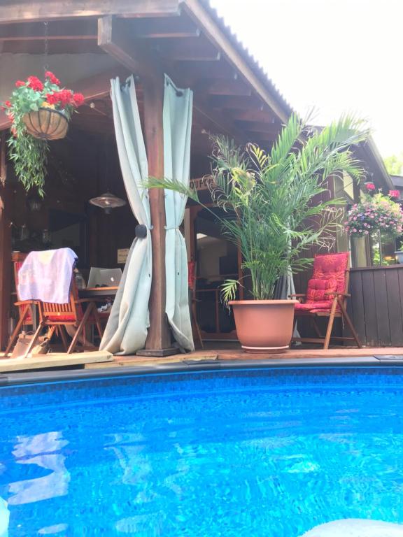 a house with a swimming pool with plants in it at PETIT COIN DE PARADIS in Sainte Anne des Lacs