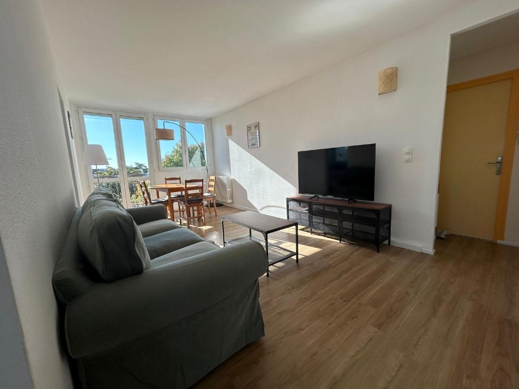 TV a/nebo společenská místnost v ubytování Appartement lumineux 3 chambres à Tours nord