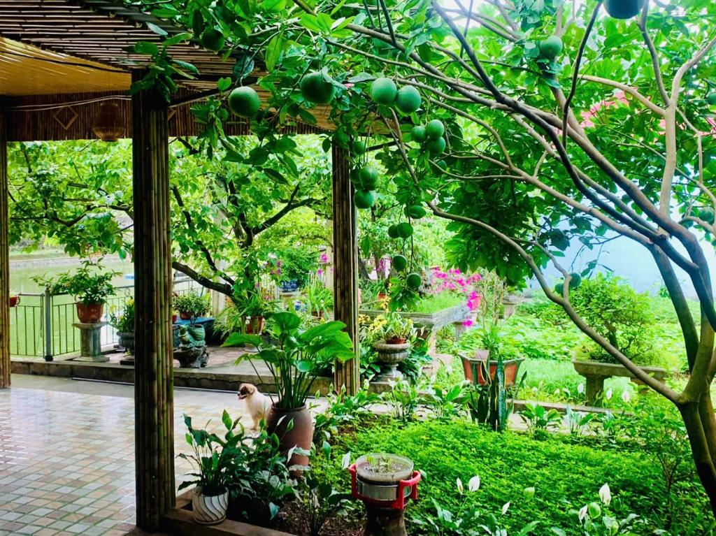 Blue Garden Homestay - 6