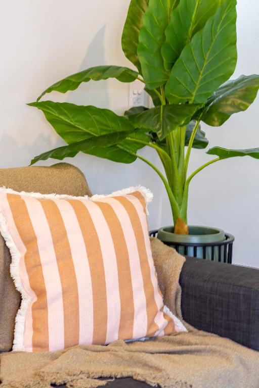 Beautiful home, Near CBD, Pet Friendly with Carpark - Resim 28