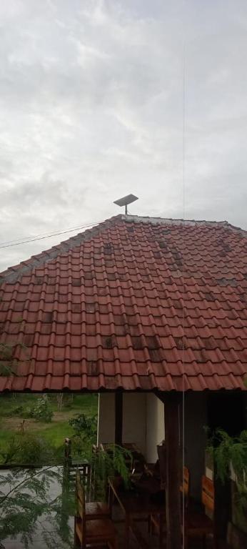 Příroda nedaleko hotelu