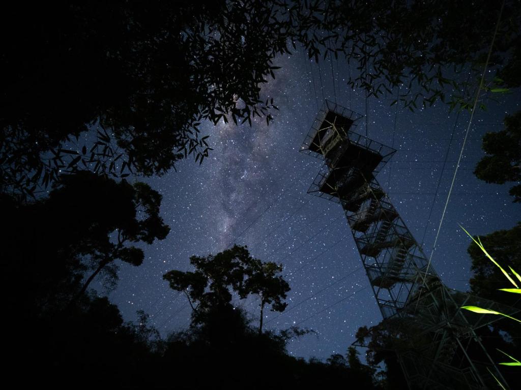 Fotografie z fotogalerie ubytování Tambopata Research Center v destinaci Tambopata