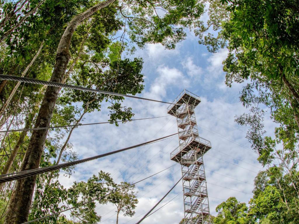 Fotografie z fotogalerie ubytování Tambopata Research Center v destinaci Tambopata