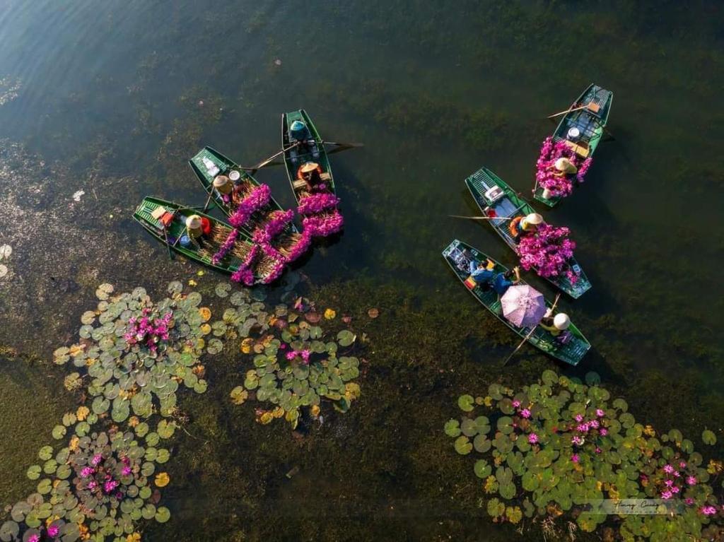a group of boats in the water with flowers at Tam Coc Paradise Homestay in Ninh Binh