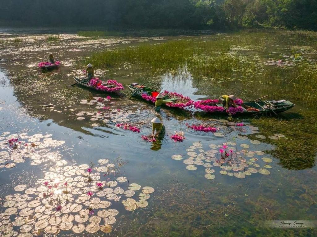 a group of boats with flowers in the water at Tam Coc Paradise Homestay in Ninh Binh