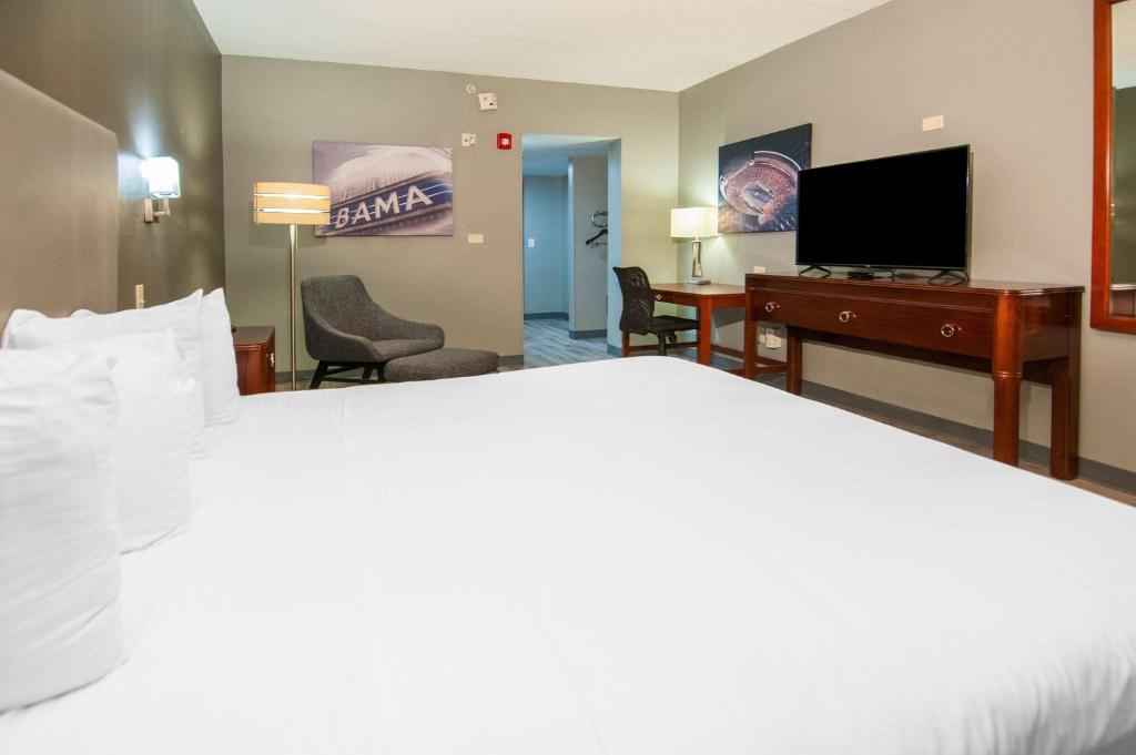 Wingate by Wyndham Tuscaloosa - Kamer Met Kingsize Bed - Niet-Rokers