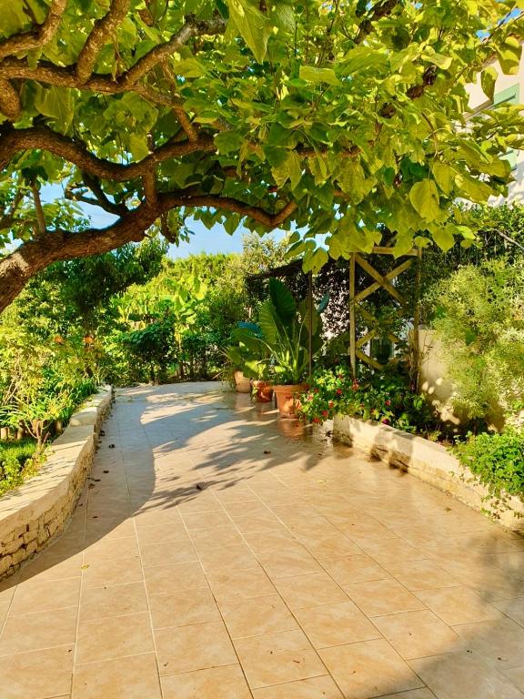 przejście pod drzewem w ogrodzie w obiekcie Rendez-vous au soleil de Provence - gite 4 personnes 80m2 - coin jardin - climatisation w mieście Cheval-Blanc