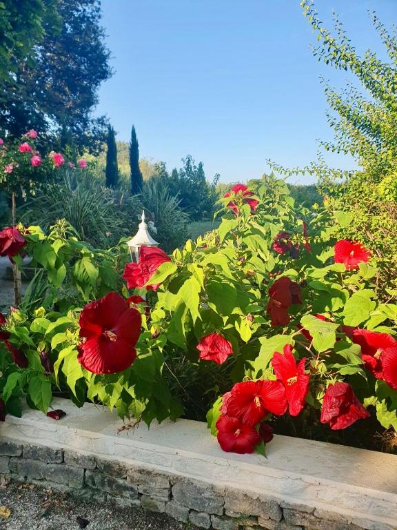 Ogród w obiekcie Rendez-vous au soleil de Provence - gite 4 personnes 80m2 - coin jardin - climatisation