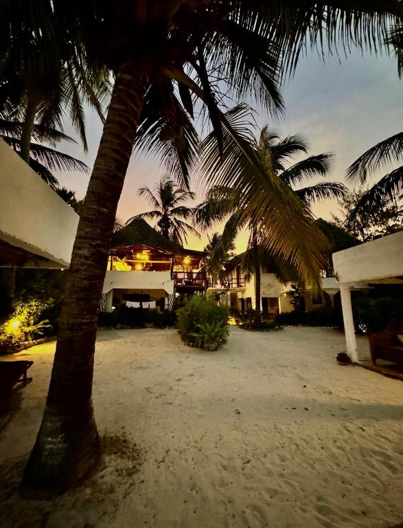 Fotografie z fotogalerie ubytování Mango Beach House v destinaci Jambiani