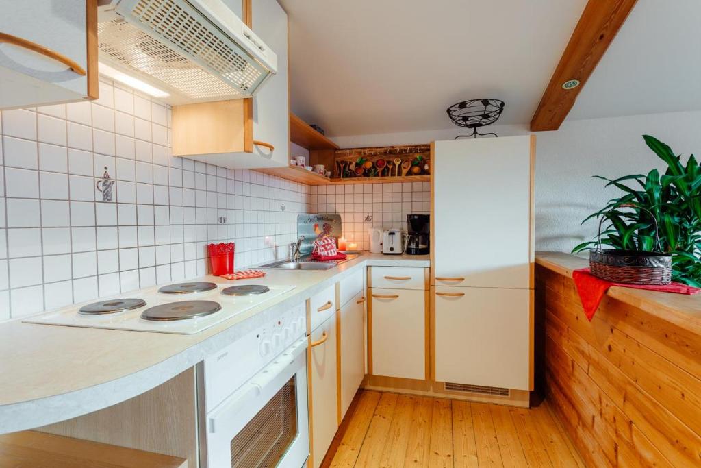 Kuchyňa alebo kuchynka v ubytovaní Appartement RUDI by MoniCare