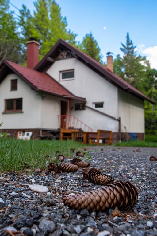 a house with a bunch of snakes on the ground at House Angelca in Hočko Pohorje