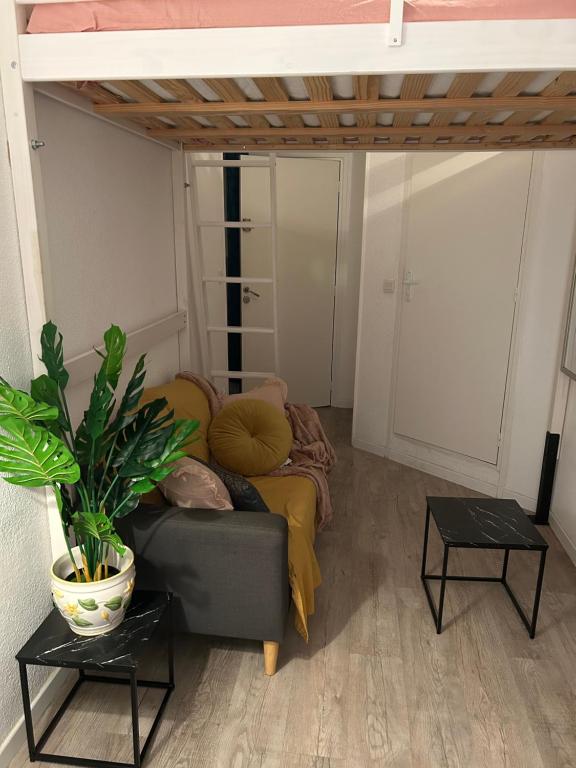 un soggiorno con divano e pianta in vaso di Marbeuf - Lao Immo a Grenoble