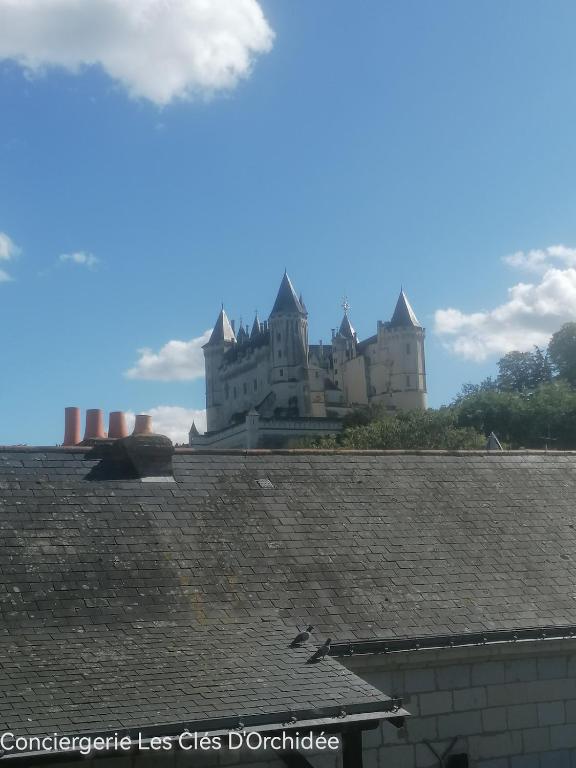 un château en arrière-plan avec un toit dans l'établissement L'Atypique Saumurois, à Saumur